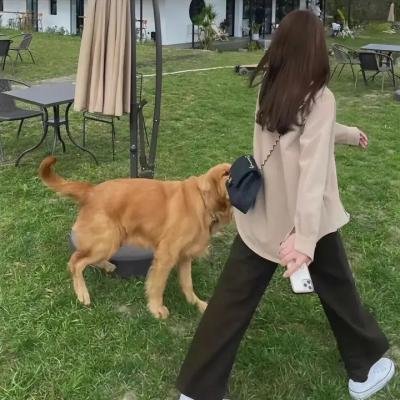 自然有话说海报